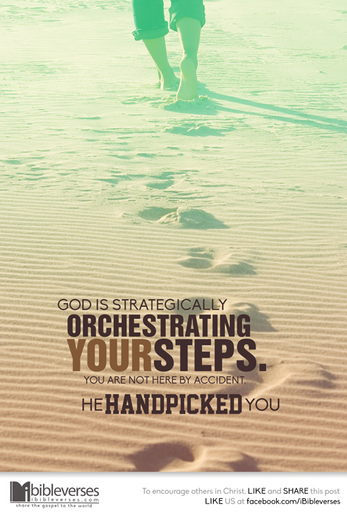 he-handpicked-you_500
